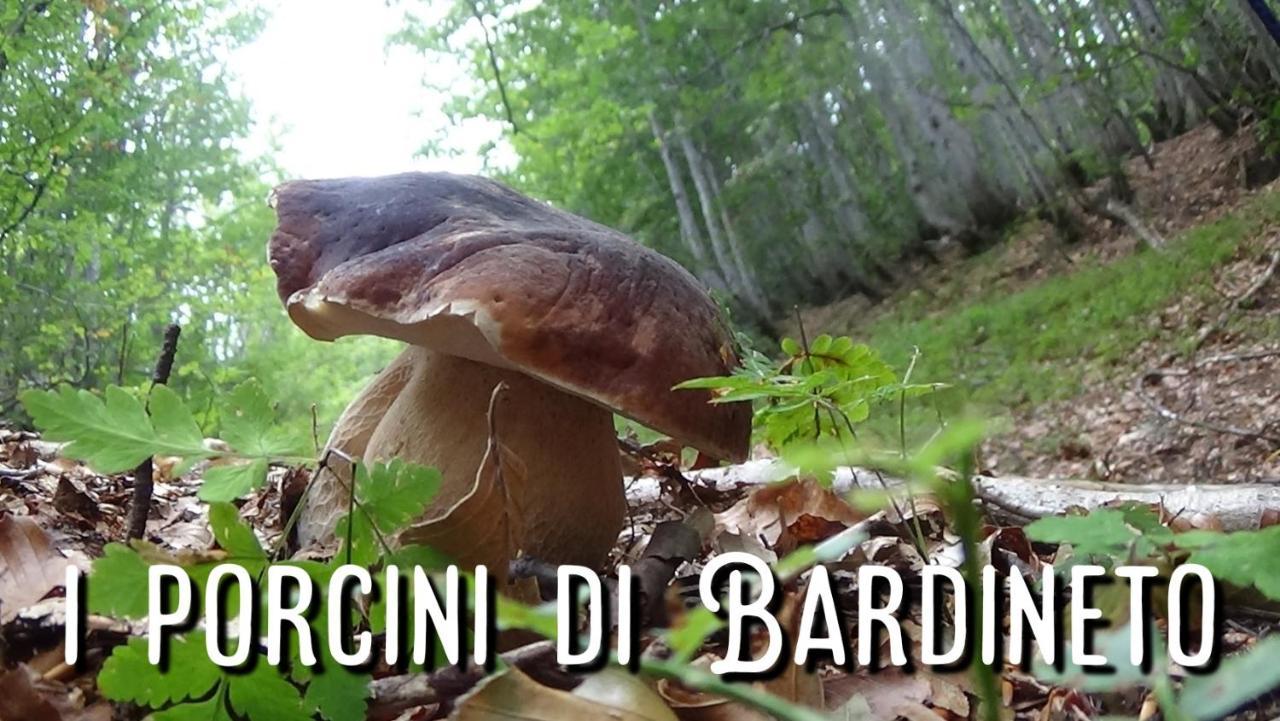 Kalimera Bardineto المظهر الخارجي الصورة